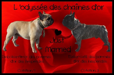 de l'odyssée des Chaines d'or - Just married