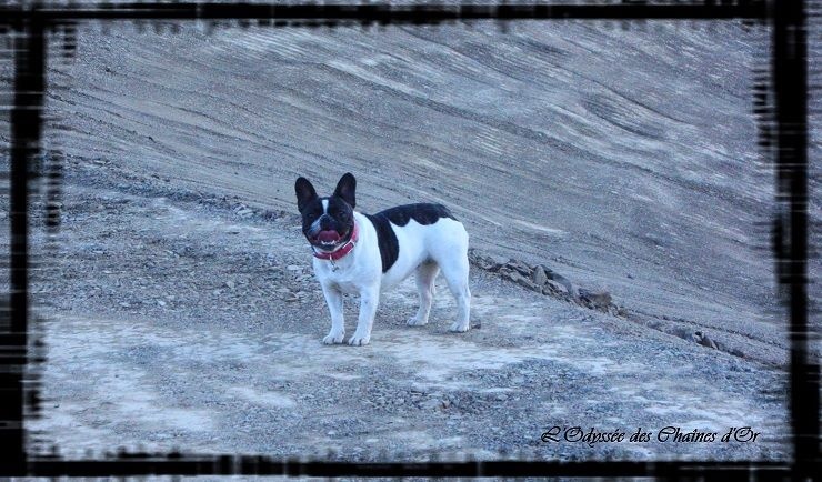 Little amy de l'odyssée des Chaines d'or